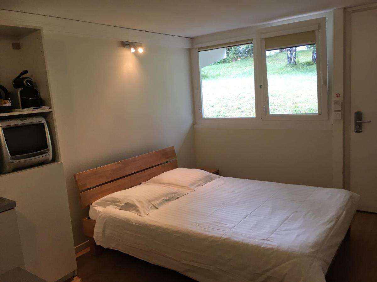 Hotel Pierre Blanche Chatillon-en-Michaille Eksteriør billede
